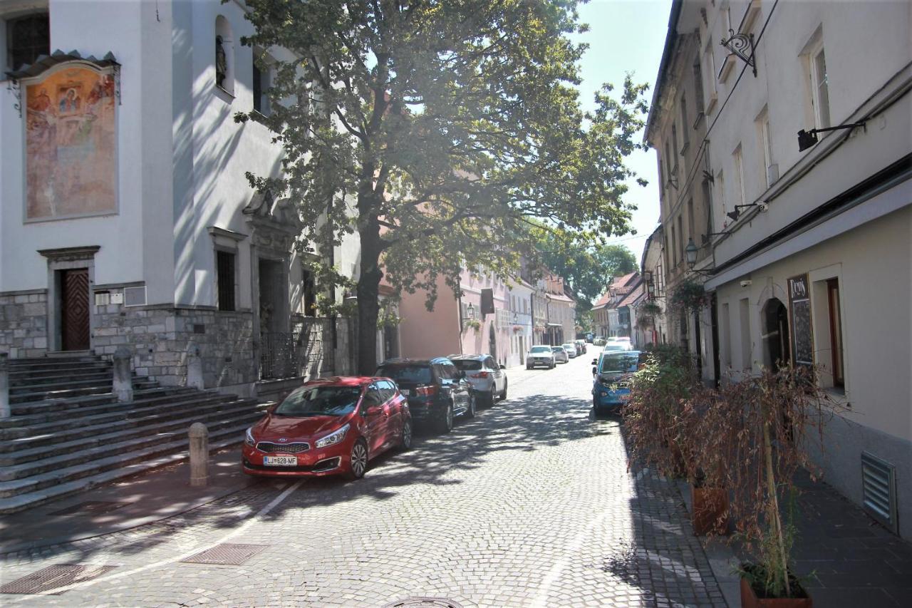 Pink House Studio Ljubljana Dış mekan fotoğraf