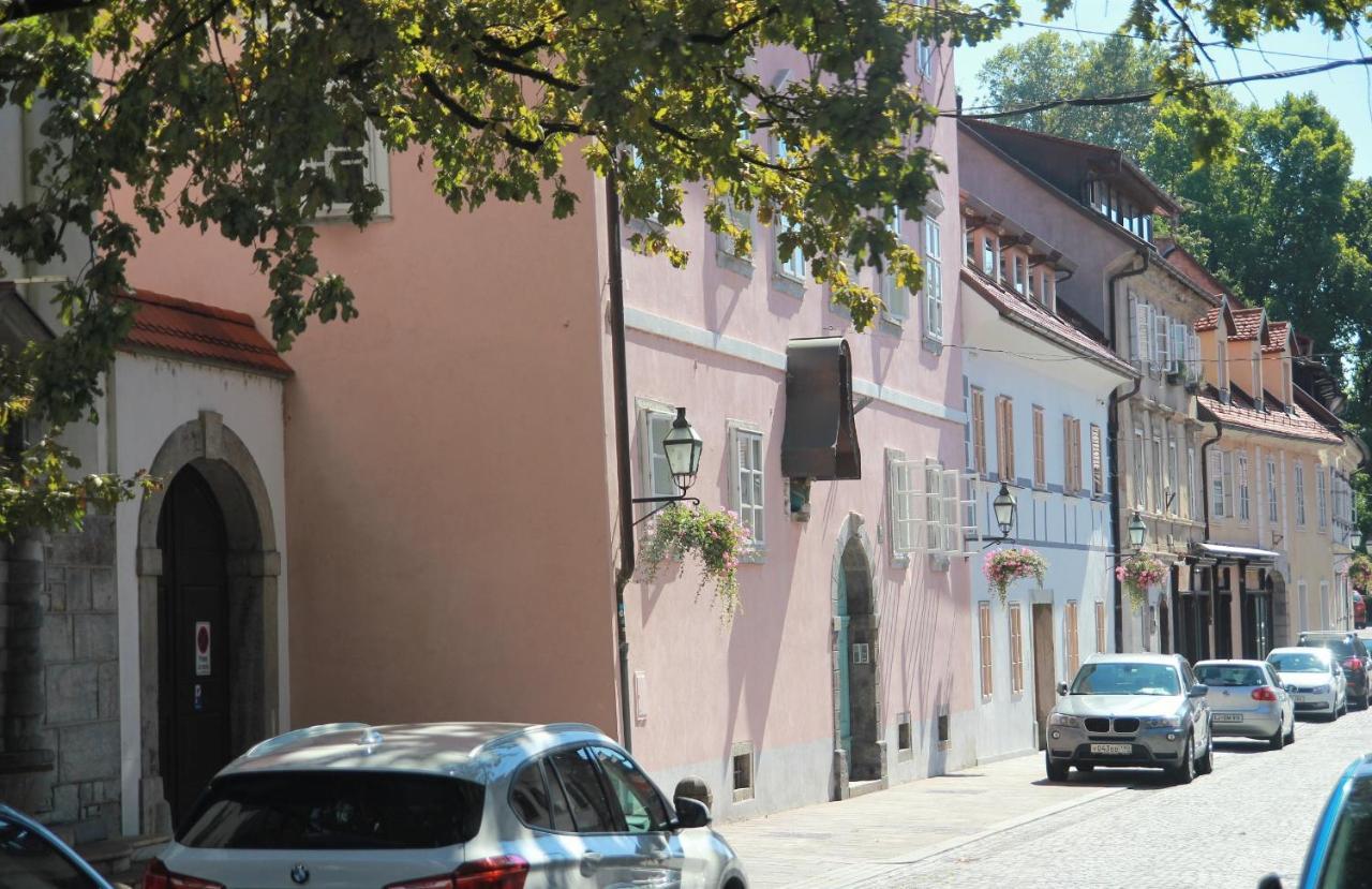 Pink House Studio Ljubljana Dış mekan fotoğraf