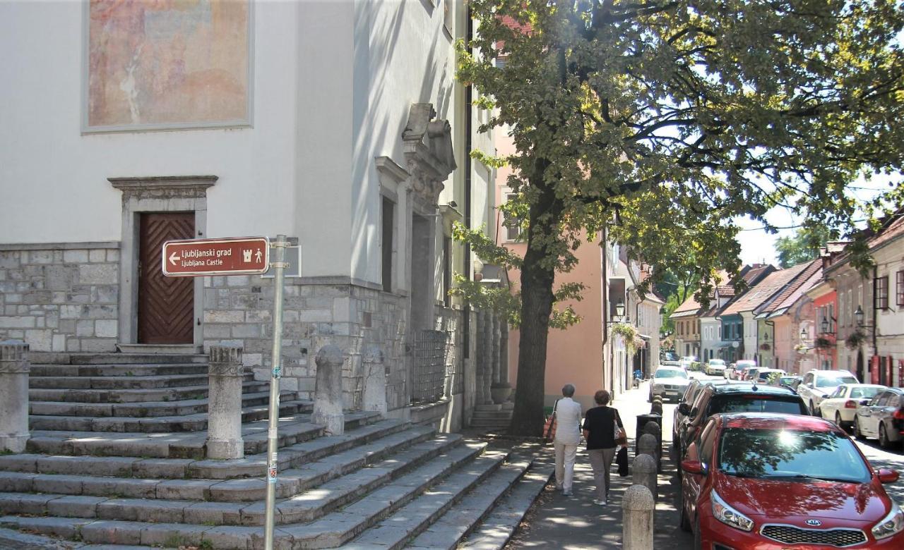 Pink House Studio Ljubljana Dış mekan fotoğraf